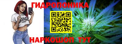 сатива Краснокаменск