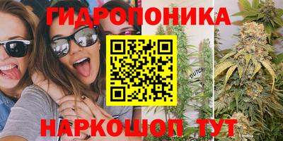 сатива Краснокаменск