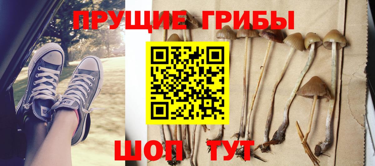 Черкесск  дарнет шоп  Вход с VPN  Псилоцибиновые грибы прущие грибы 